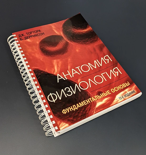 Работа Учебники по медицине 