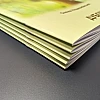 Work Казка-мюзикл | PrintTo: