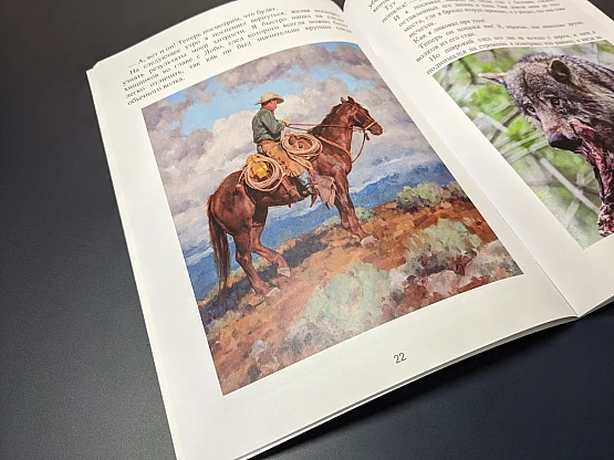 Работа Повесть с илюстрациями | PrintTo: