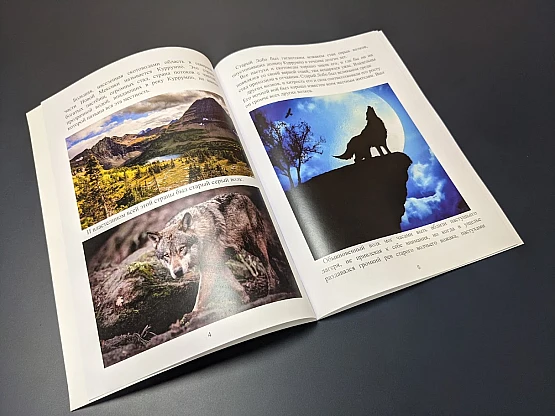 Работа Повесть с илюстрациями | PrintTo: