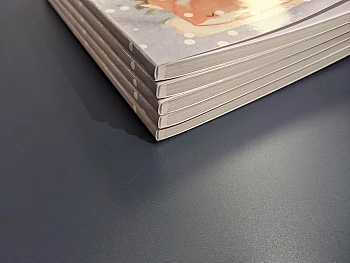 Наша работа: Авторское издание Эрики Чех @oh.my.deer | Printto: