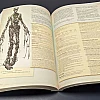 Work Dungeons & Dragons books | PrintTo: