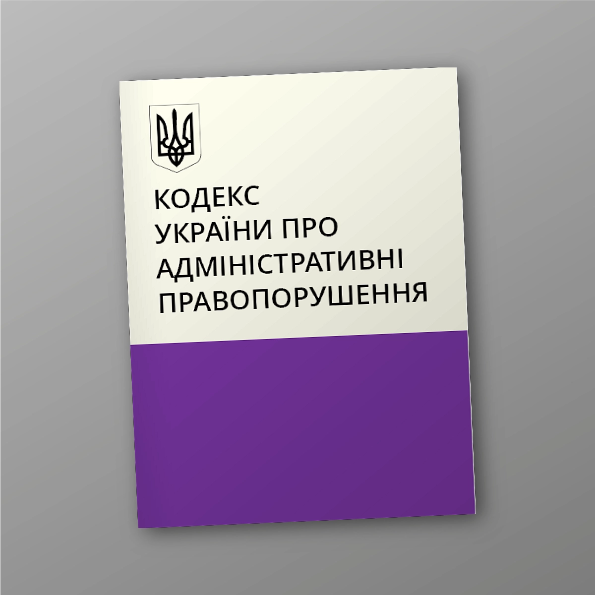 Code of Ukraine on Administrative Offences | PrintTo: