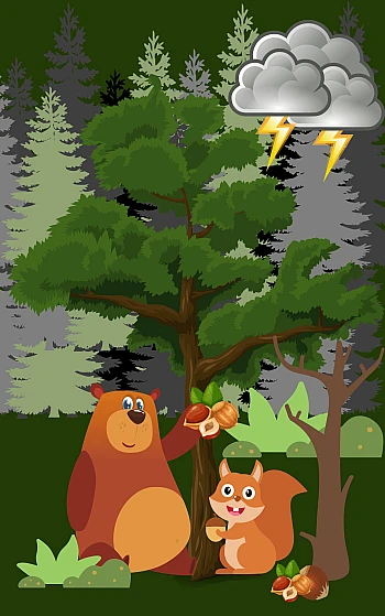 Adventures of Tashik the bear | PrintTo: Пригоди ведмедика Ташика на Printto.ua
