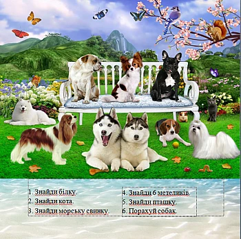 Girls' Favorite Book, Radiy Sivak | PrintTo: Улюблена книга дівчаток, Радій Сівак на Printto.ua