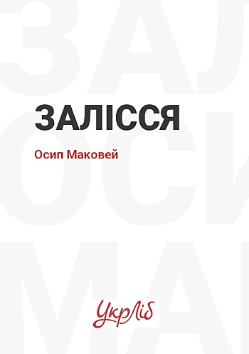 Stayed | PrintTo: Залісся на Printto.ua