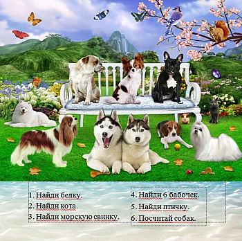 Girls' Favorite Book, Radiy Sivak на Printto.ua