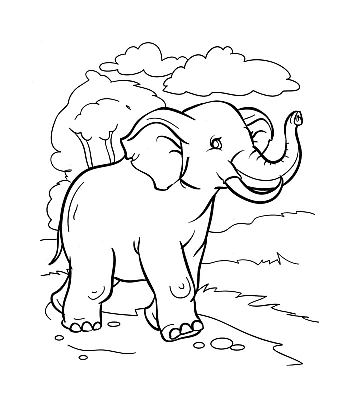 Coloring books for children на Printto.ua