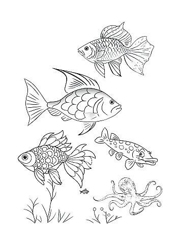 Coloring books for children | PrintTo: Раскраски для детей на Printto.ua