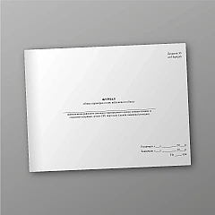 Journal of records of checks of the state of military records | PrintTo: