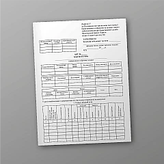 Technical condition report | PrintTo: